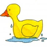 duck